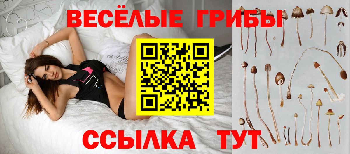Псилоцибиновые грибы мицелий Ростов-на-Дону
